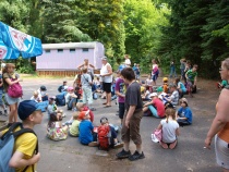 Der Harterscheid im Sommer Der Harterscheid im Sommer