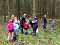 Der Harterscheid im Herbst Der Harterscheid im Herbst