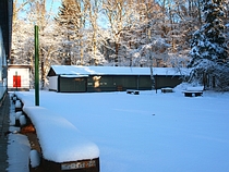 Der Harterscheid im Winter