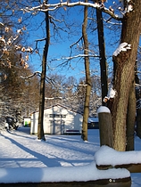 Der Harterscheid im Winter